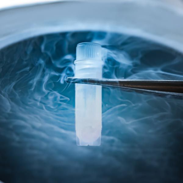 Fertility Preservation