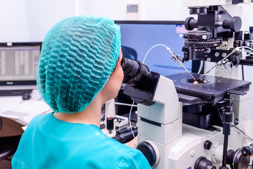 egg donation